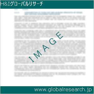 グローバルリサーチ調査レポートのイメージ